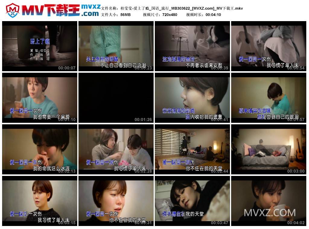 桂莹莹-爱上了瘾_国语_流行_MB303622